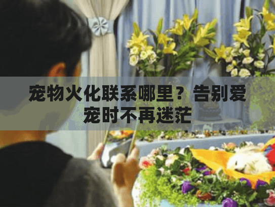 宠物火化联系哪里？告别爱宠时不再迷茫