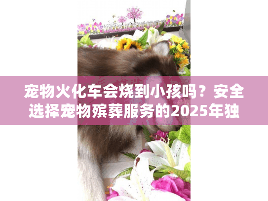 宠物火化车会烧到小孩吗？安全选择宠物殡葬服务的2025年独家避坑法