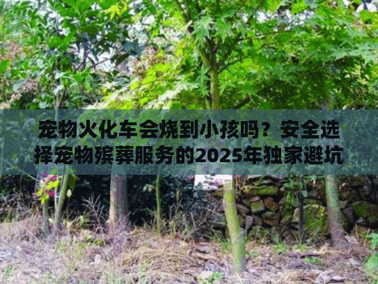 宠物火化车会烧到小孩吗？安全选择宠物殡葬服务的2025年独家避坑法