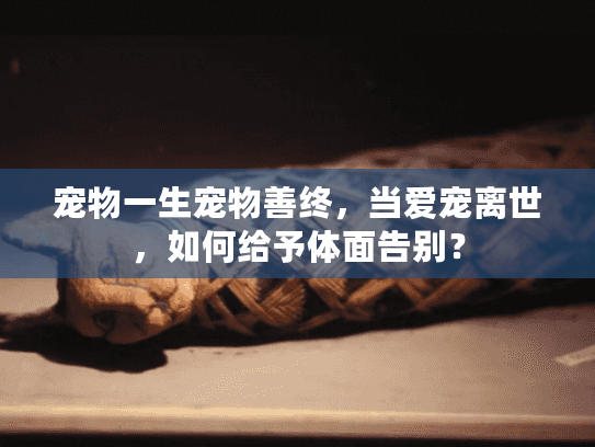 宠物一生宠物善终，当爱宠离世，如何给予体面告别？