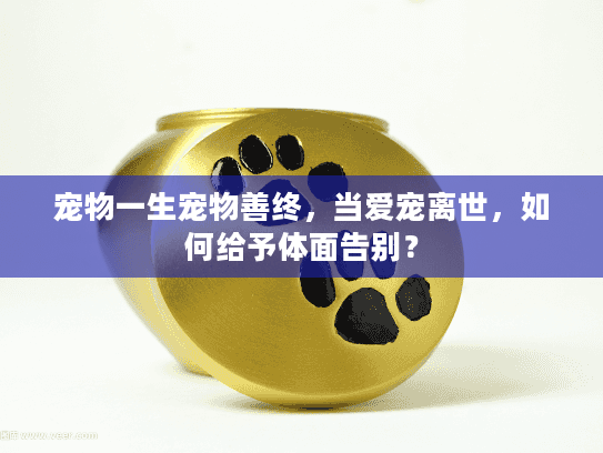 宠物一生宠物善终，当爱宠离世，如何给予体面告别？