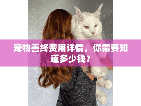 宠物善终费用详情，你需要知道多少钱？