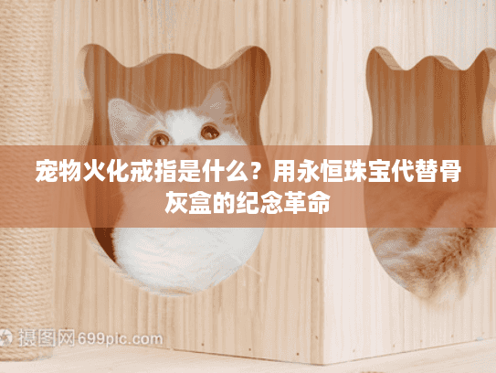 宠物火化戒指是什么？用永恒珠宝代替骨灰盒的纪念革命