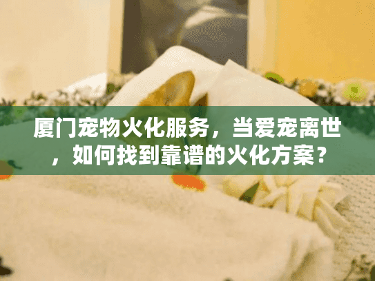 厦门宠物火化服务，当爱宠离世，如何找到靠谱的火化方案？