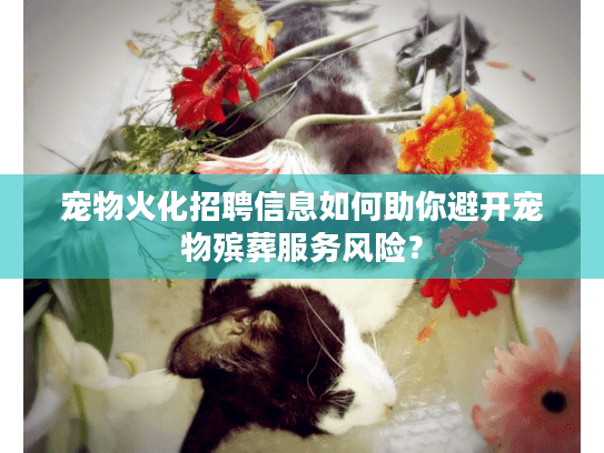 宠物火化招聘信息如何助你避开宠物殡葬服务风险？