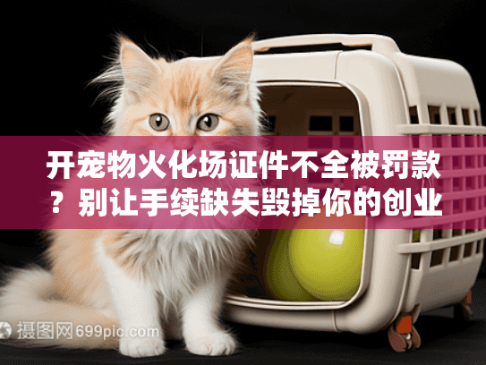 开宠物火化场证件不全被罚款？别让手续缺失毁掉你的创业梦！