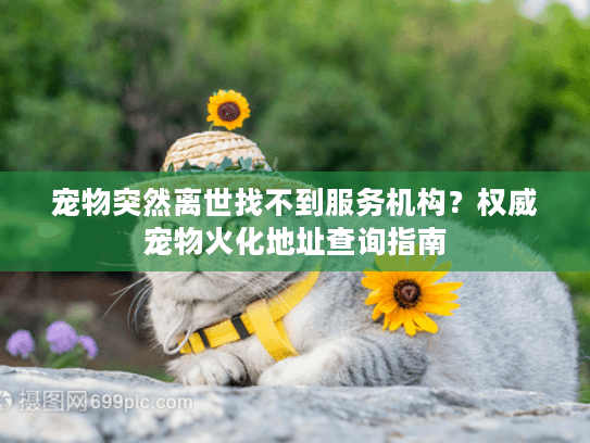宠物突然离世找不到服务机构？权威宠物火化地址查询指南
