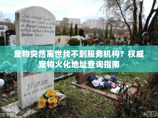 宠物突然离世找不到服务机构？权威宠物火化地址查询指南