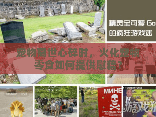 宠物离世心碎时，火化宠物零食如何提供慰藉？