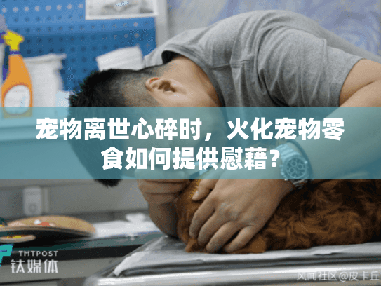 宠物离世心碎时，火化宠物零食如何提供慰藉？