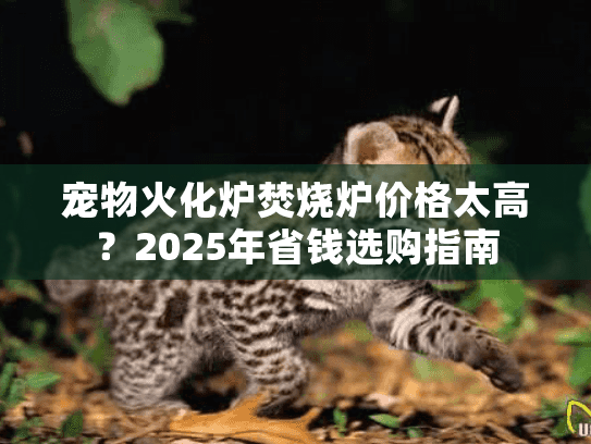 宠物火化炉焚烧炉价格太高?2025年省钱选购指南 宠物火化炉焚烧炉价格太高?2025年省钱选购指南