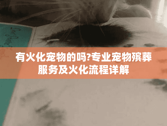 有火化宠物的吗?专业宠物殡葬服务及火化流程详解