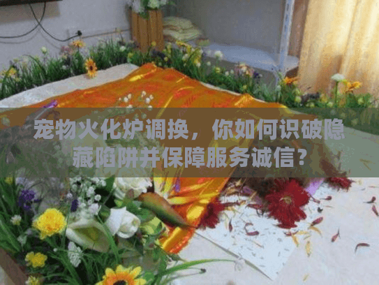 宠物火化炉调换，你如何识破隐藏陷阱并保障服务诚信？