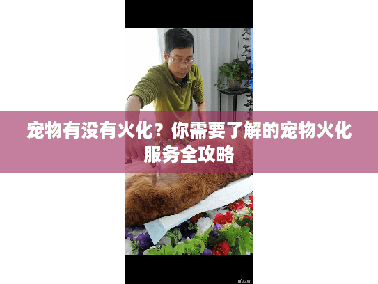 宠物有没有火化？你需要了解的宠物火化服务全攻略