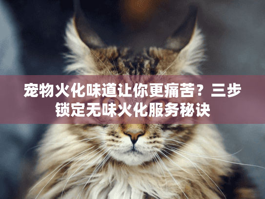 宠物火化味道让你更痛苦？三步锁定无味火化服务秘诀