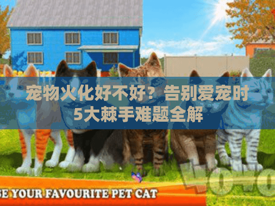 宠物火化好不好？告别爱宠时5大棘手难题全解