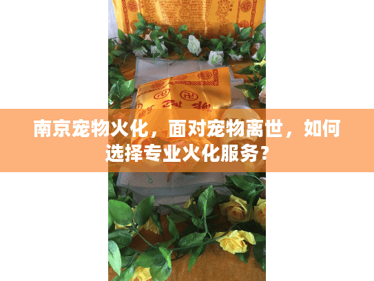 南京宠物火化，面对宠物离世，如何选择专业火化服务？