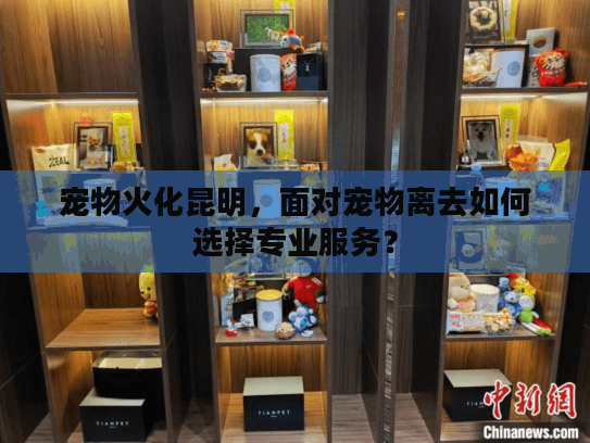 宠物火化昆明，面对宠物离去如何选择专业服务？