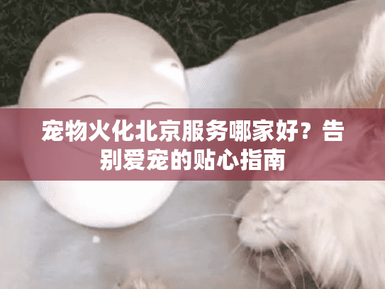 宠物火化北京服务哪家好？告别爱宠的贴心指南
