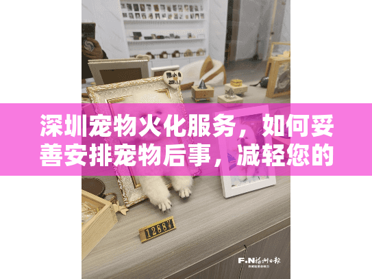 深圳宠物火化服务，如何妥善安排宠物后事，减轻您的悲痛？