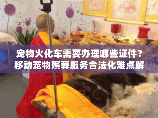 宠物火化车需要办理哪些证件？移动宠物殡葬服务合法化难点解析