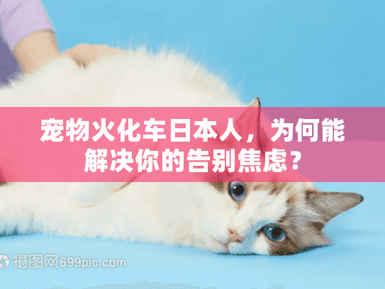 宠物火化车日本人，为何能解决你的告别焦虑？