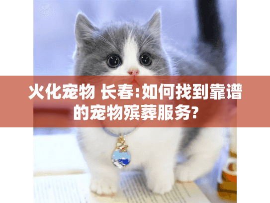 火化宠物 长春:如何找到靠谱的宠物殡葬服务?