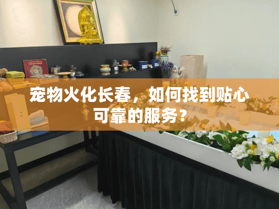 宠物火化长春，如何找到贴心可靠的服务？