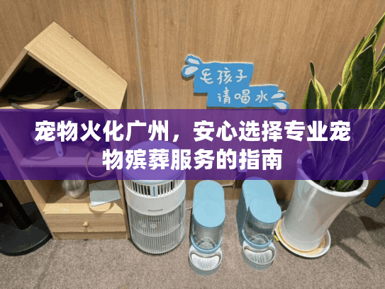 宠物火化广州，安心选择专业宠物殡葬服务的指南
