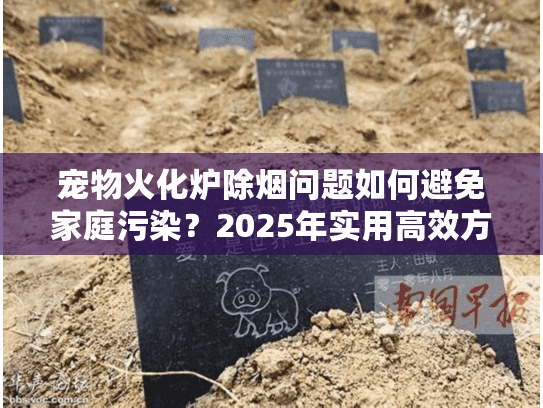 宠物火化炉除烟问题如何避免家庭污染？2025年实用高效方案揭秘