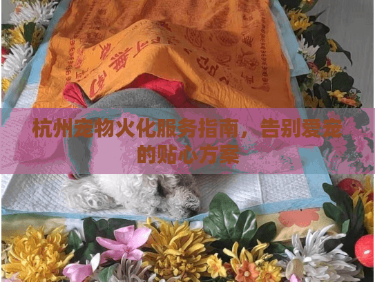 杭州宠物火化服务指南，告别爱宠的贴心方案