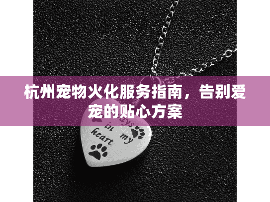 杭州宠物火化服务指南，告别爱宠的贴心方案