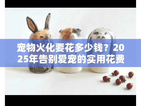 宠物火化要花多少钱？2025年告别爱宠的实用花费指南