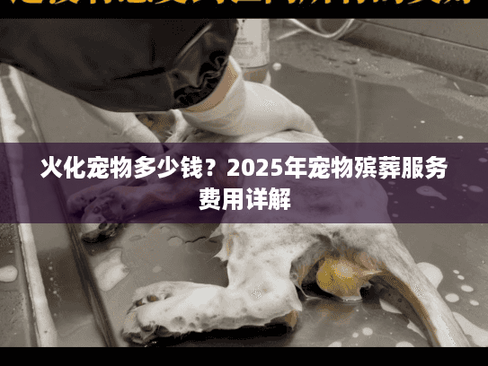 火化宠物多少钱？2025年宠物殡葬服务费用详解