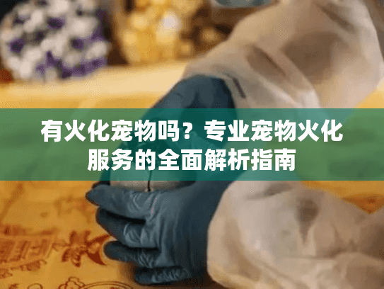 有火化宠物吗？专业宠物火化服务的全面解析指南