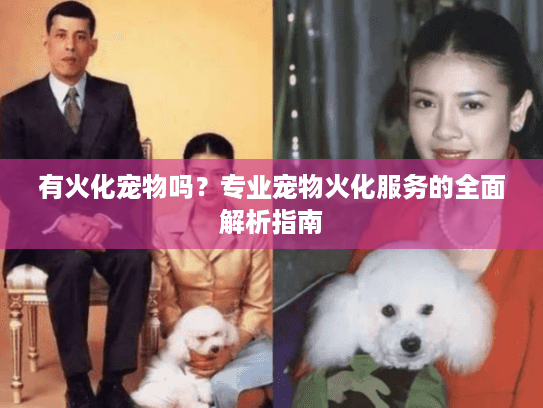有火化宠物吗？专业宠物火化服务的全面解析指南