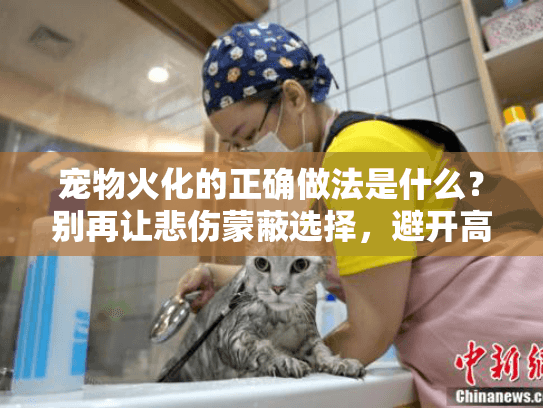 宠物火化的正确做法是什么?别再让悲伤蒙蔽选择,避开高价陷阱找到贴心服务!56字符) 宠物火化的正确做法是什么?别再让悲伤蒙蔽选择,避开高价陷阱找到贴心服务!56字符)