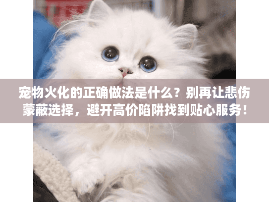 宠物火化的正确做法是什么?别再让悲伤蒙蔽选择,避开高价陷阱找到贴心服务!56字符) 宠物火化的正确做法是什么?别再让悲伤蒙蔽选择,避开高价陷阱找到贴心服务!56字符)