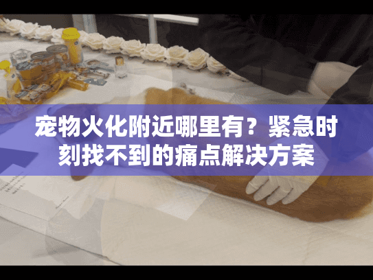 宠物火化附近哪里有?紧急时刻找不到的痛点解决方案 宠物火化附近哪里有?紧急时刻找不到的痛点解决方案