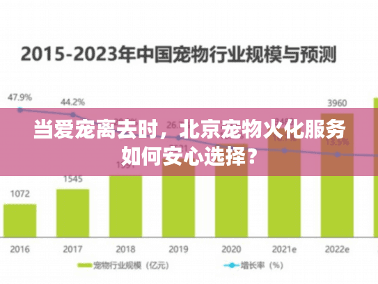 当爱宠离去时，北京宠物火化服务如何安心选择？