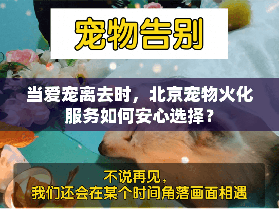 当爱宠离去时，北京宠物火化服务如何安心选择？