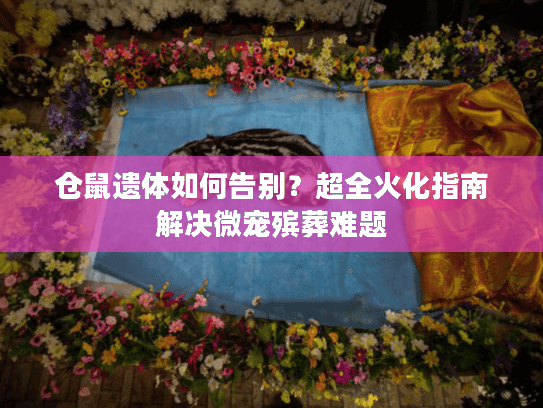 仓鼠遗体如何告别？超全火化指南解决微宠殡葬难题