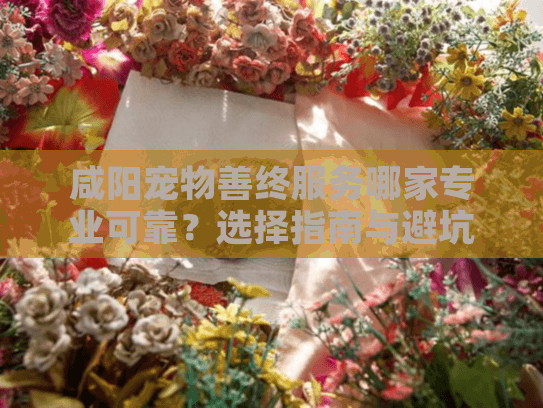 咸阳宠物善终服务哪家专业可靠？选择指南与避坑要点