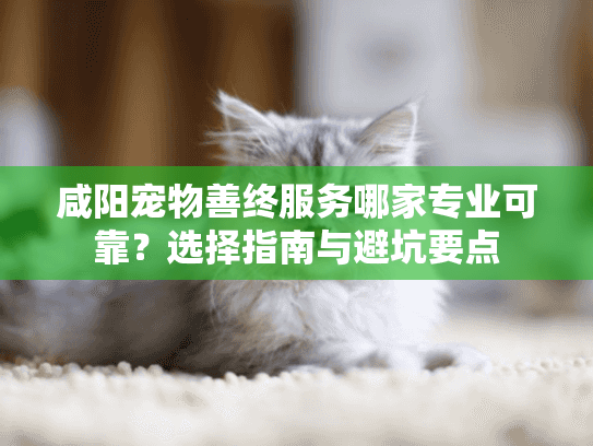 咸阳宠物善终服务哪家专业可靠?选择指南与避坑要点