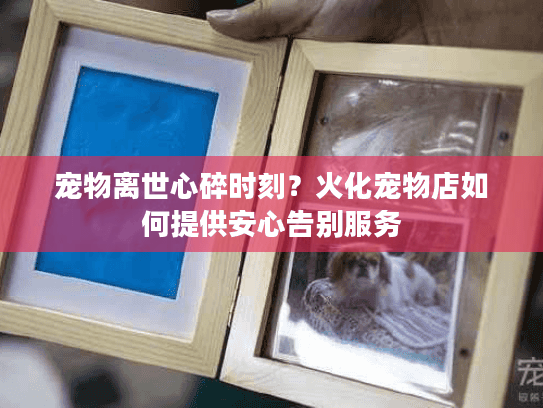 宠物离世心碎时刻？火化宠物店如何提供安心告别服务