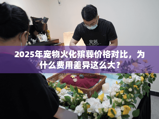 2025年宠物火化殡葬价格对比，为什么费用差异这么大？