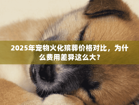 2025年宠物火化殡葬价格对比，为什么费用差异这么大？