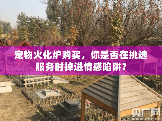 宠物火化炉购买，你是否在挑选服务时掉进情感陷阱？