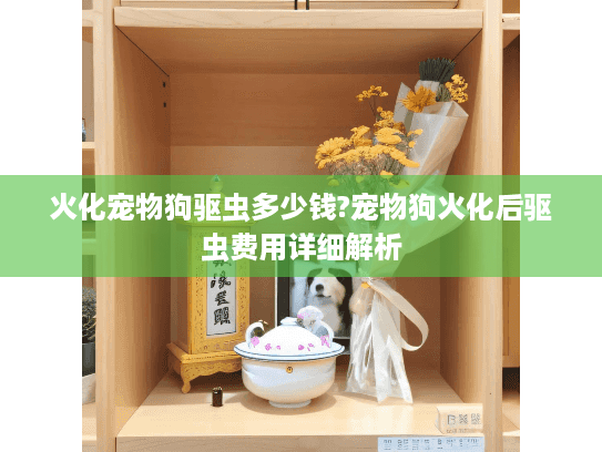 火化宠物狗驱虫多少钱?宠物狗火化后驱虫费用详细解析