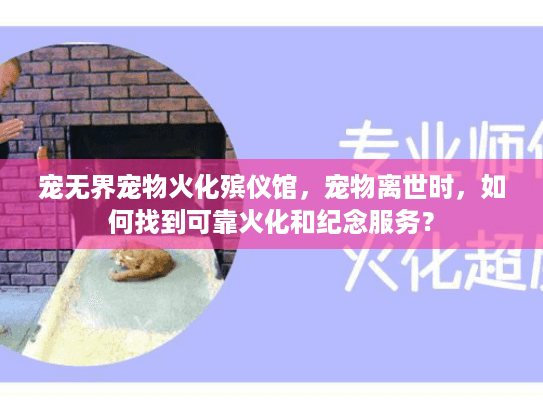 宠无界宠物火化殡仪馆，宠物离世时，如何找到可靠火化和纪念服务？
